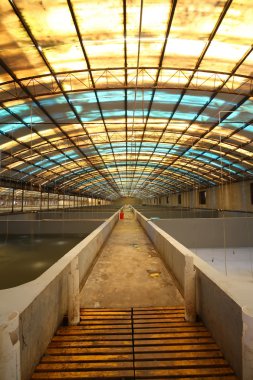 Fabrika tarım Çalıştayı