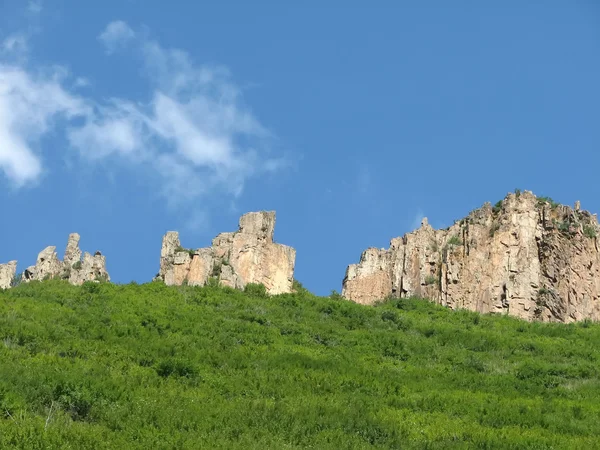 Grünlandlandschaft — Stockfoto