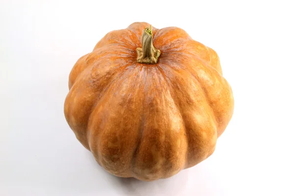 Calabaza — Foto de Stock