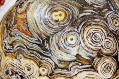 kayaların üzerinde dekoratif desen