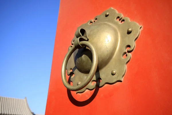 Metal decorations - beast's head — Stock Photo, Image