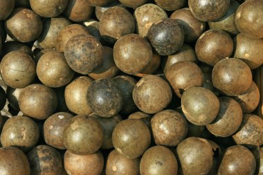 Çin Bitkisel Tıp - bitkisel çay