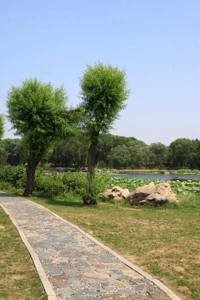 Vägen i en park i höst — Stockfoto