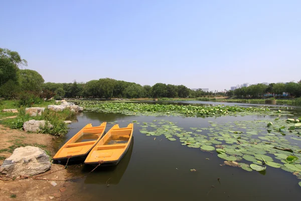 Пейзаж пруда лотоса в парке — стоковое фото