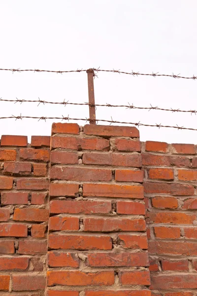 Red brick wall with the barbed wire — Stock Photo, Image