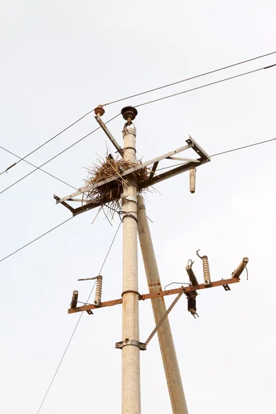 Wire pole — Stock Photo, Image