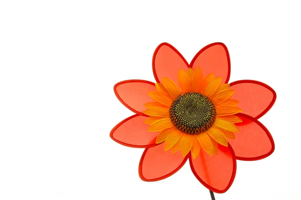 Red flower in white background — Stock Photo, Image