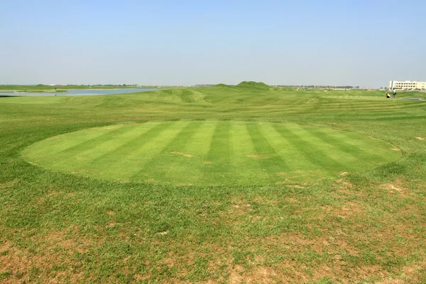 Gräs på golfbanan — Stockfoto