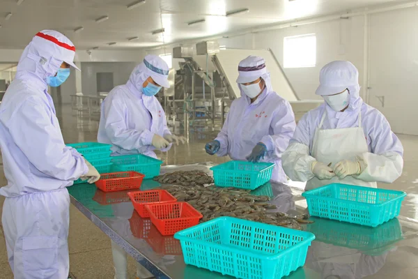 Workers working in the prawn processing line in a seafood proces — Stock Photo, Image