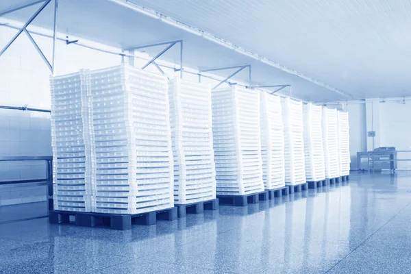 Plastic basket in a processing plant — Stock Photo, Image