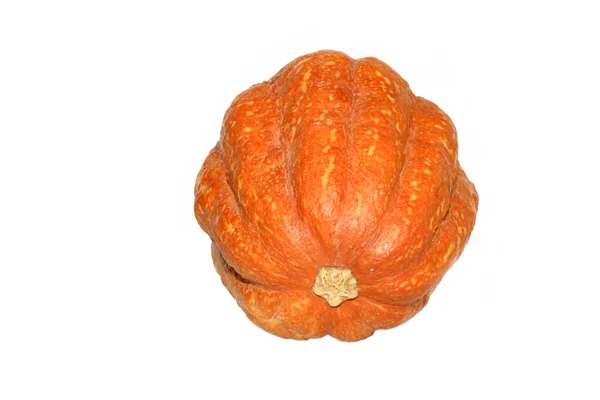 Calabazas —  Fotos de Stock