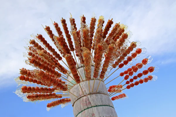 Ice-sugar gourd — Stock Photo, Image