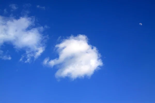 Cielo azul y nubes blancas — Foto de Stock