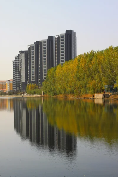 Trees and high rise building — Stock Photo, Image