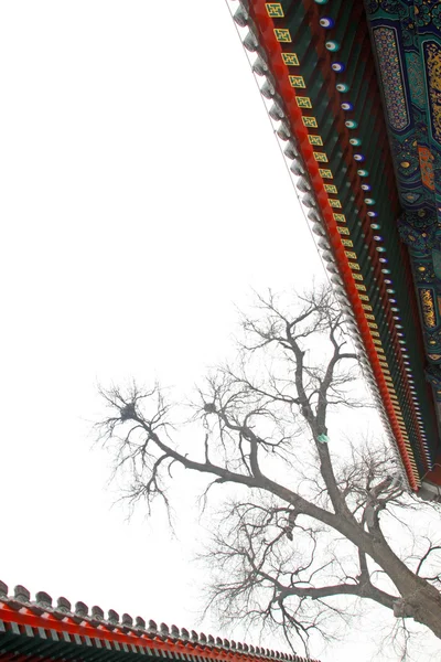 Les avant-toits et les arbres morts dans le temple Zhengjue dans le vieil été pa — Photo
