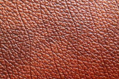 deri Yerel Özellikler