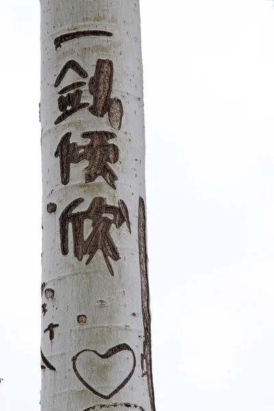 Littéralement de la peau de Nick dans l'arbre, une sorte de graffiti — Photo