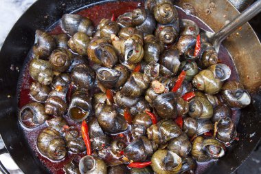 viviparid lezzet snack