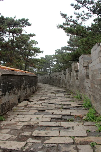 Τοίχο αρχιτεκτονική τοπίου στην την Ανατολική Βασιλικοί Τάφοι της το qi — Φωτογραφία Αρχείου
