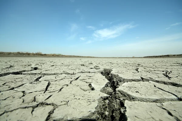 Cracks in the land — Stock Photo, Image