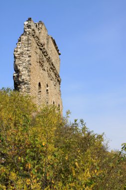 büyük duvardaki orijinal ekolojisi