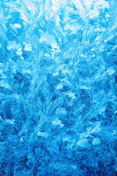 Цветы льда — стоковое фото