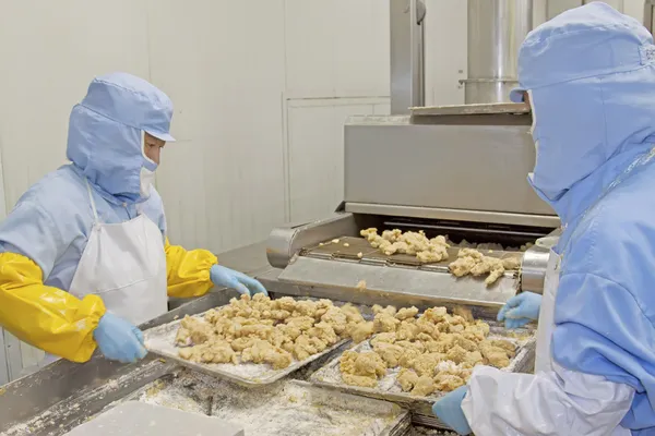 gıda işleme üretim hattı çalışanları