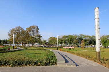 Çin'de bir şehir parkı yeşil bitkiler