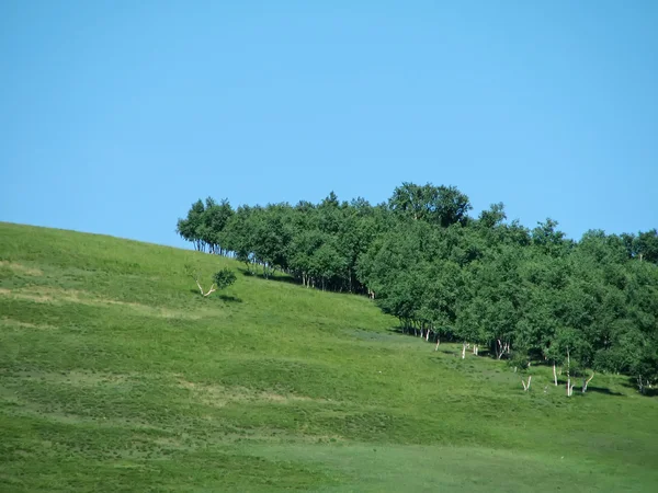 草原の風景 — ストック写真