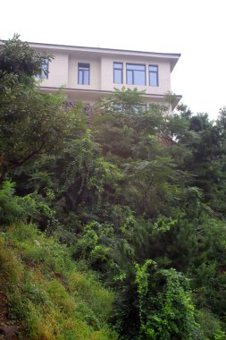 Bina yeşil bitkiler arasında