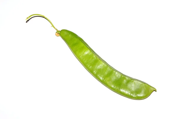 Knife bean — Stock Photo, Image