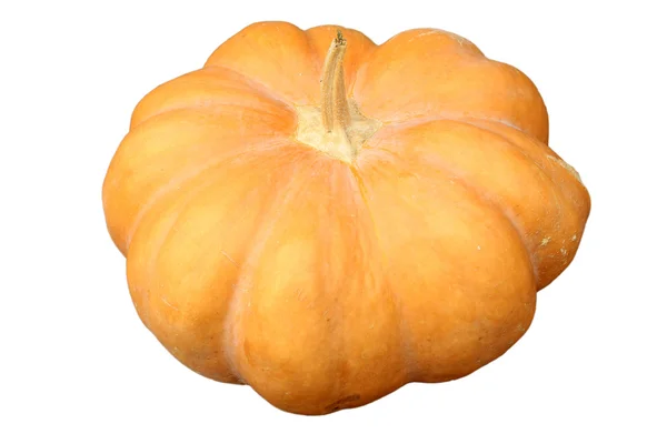 Primer plano de la calabaza —  Fotos de Stock