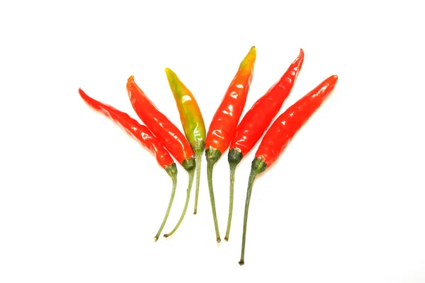 Dry red chili — Stock Photo, Image