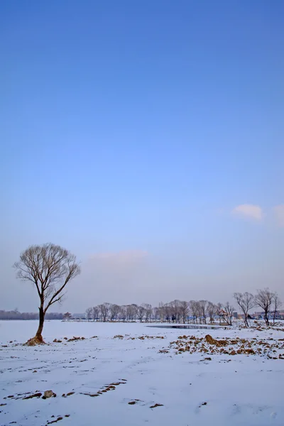 Vildmarken snö i norra Kina — Stockfoto