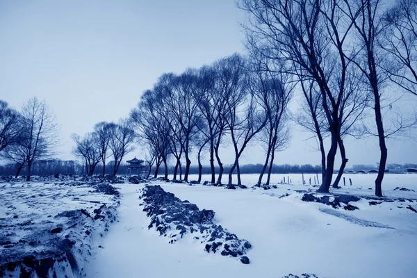 Neve selvagem na china norte — Fotografia de Stock