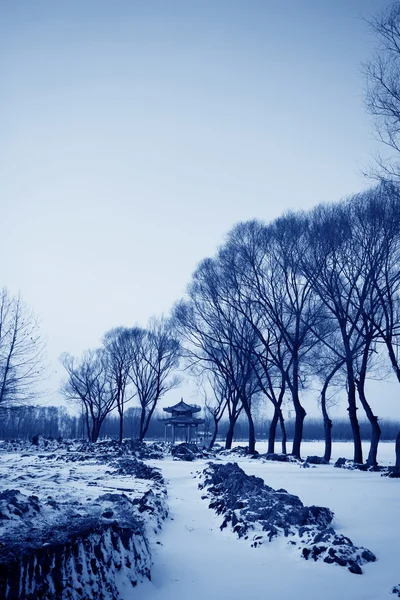 Wilderness snow in china northern — Stock Photo, Image