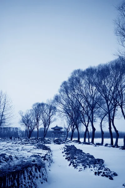 Vildmarken snö i norra Kina — Stockfoto