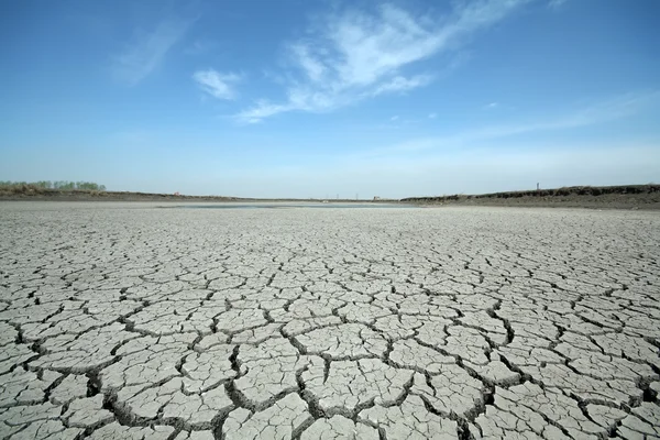 Cracks in the land — Stock Photo, Image