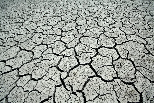 Grietas en la tierra — Foto de Stock