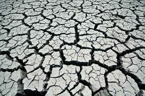 Cracks in the land — Stock Photo, Image