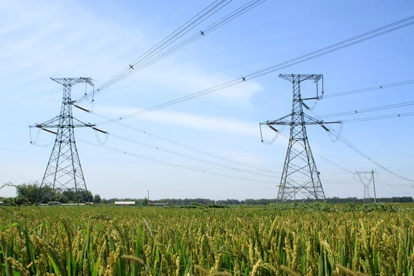 Electrical tower — Stock Photo, Image