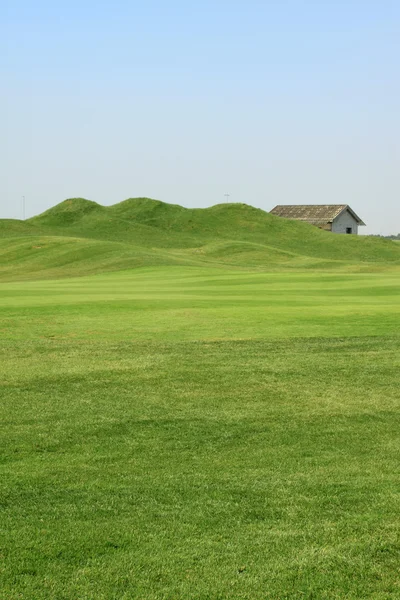 Trawa na polu golfowym — Zdjęcie stockowe