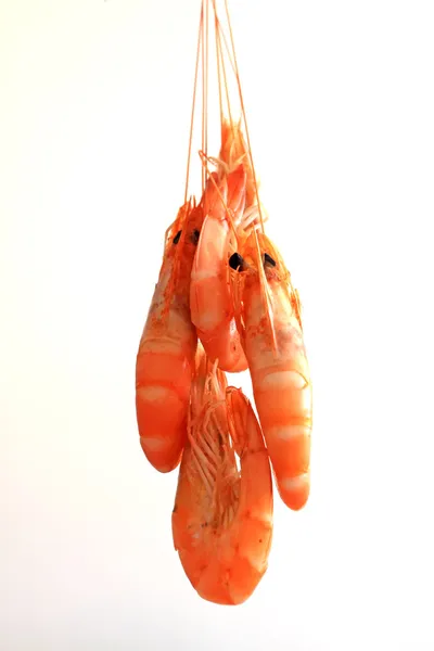 Dried shrimp — Stock Photo, Image