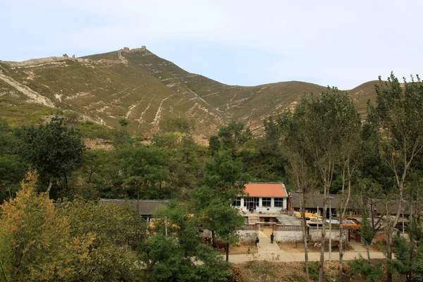 마 풍경 — 스톡 사진