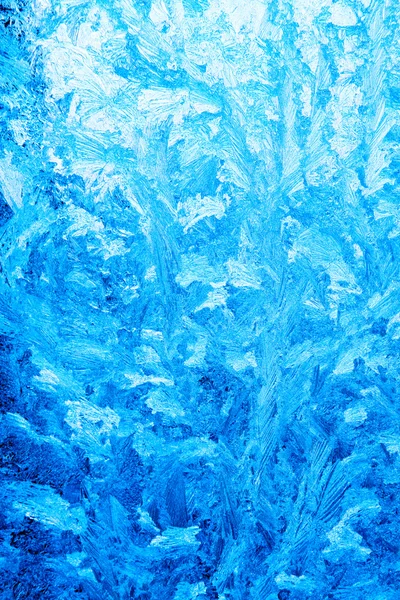 Цветы льда — стоковое фото