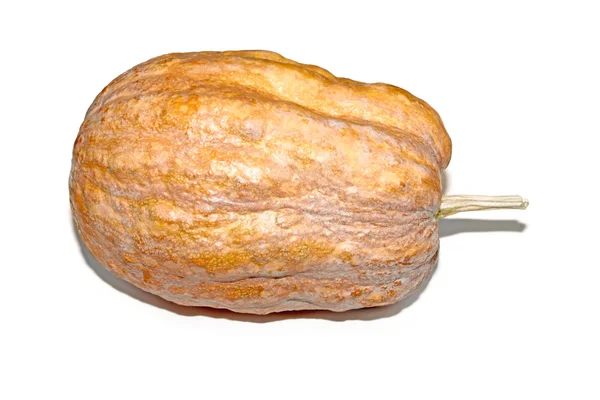 Primeros planos de calabaza — Foto de Stock