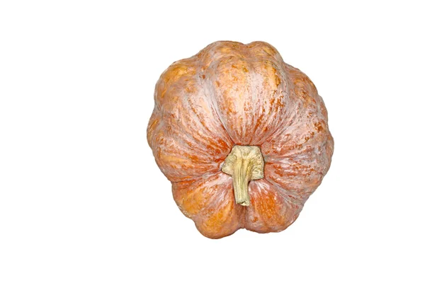 Primeros planos de calabaza —  Fotos de Stock