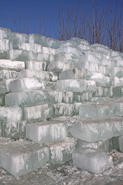 Eis in freier Wildbahn — Stockfoto