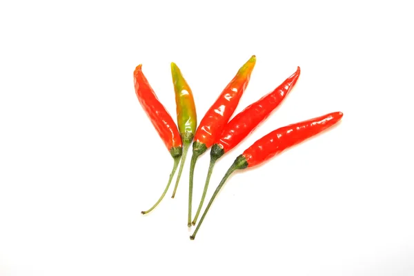 Dry red chili — Stock Photo, Image