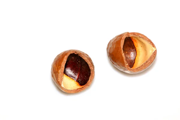 Nuts hazelnuts — Stock Photo, Image
